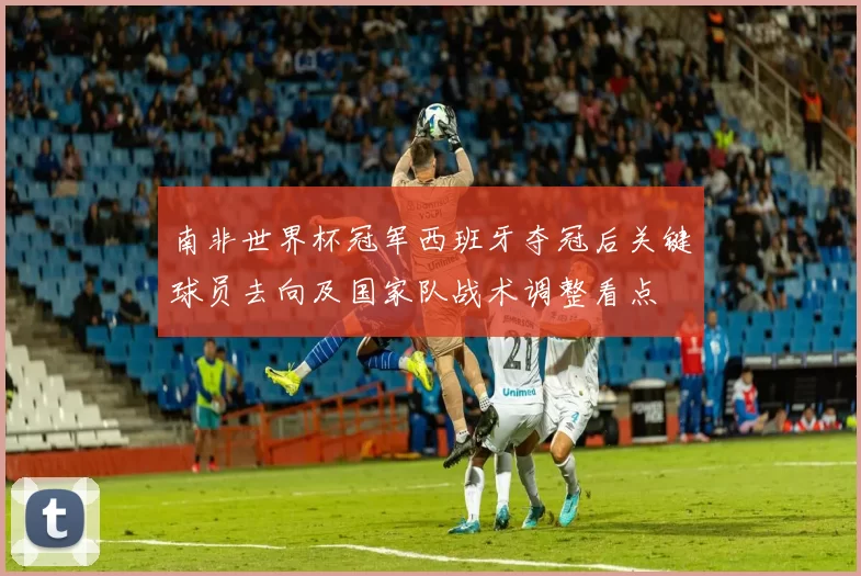 南非世界杯冠军西班牙夺冠后关键球员去向及国家队战术调整看点