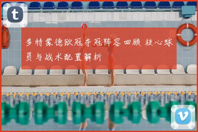 多特蒙德欧冠夺冠阵容回顾 核心球员与战术配置解析