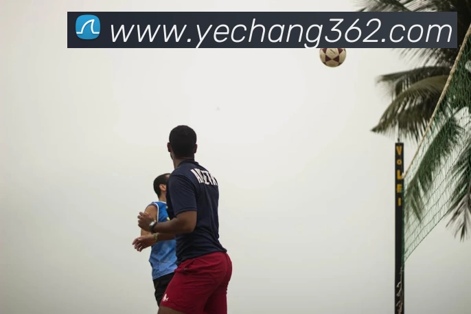 爱体育电子官方网站 - 爱体育aitiyu(中国)平台生态图